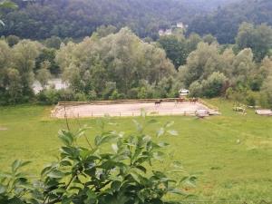 Pogled iz hriba na dogajanje na ranču 16 podkvic.